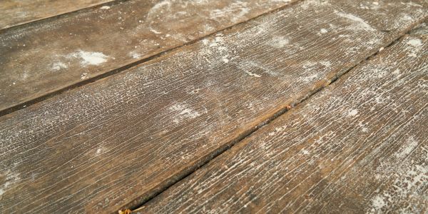 Fix Scratches on Hardwood Floors Guide